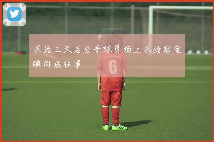 求婚三天后分手球员场上求婚甜蜜瞬间成往事