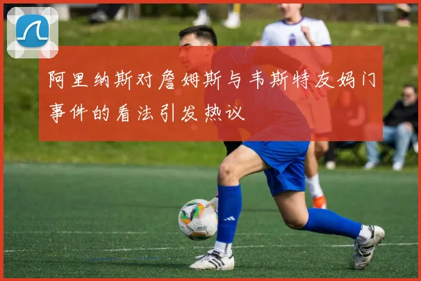 阿里纳斯对詹姆斯与韦斯特友妈门事件的看法引发热议