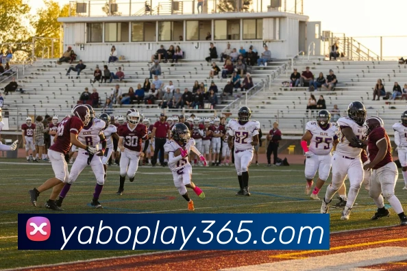 数据防护可视化